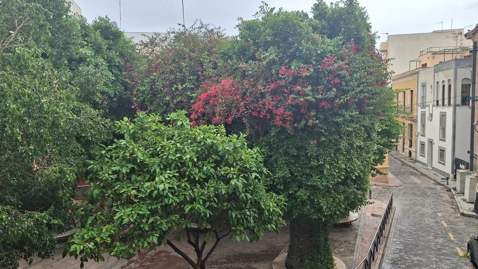 بيت للعطل La Pita City House المرية